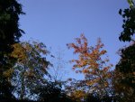 Der blaue Himmel, machte mich ganz sentimental