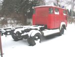 der kleine racker im schnee!
