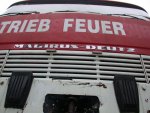 triebe, und davon viel????
