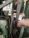 lineal liegt unten plan an lima-scheibe, die pumpen-schiebe ist ca. 22 mm breit, d.h. die riemenmitte w�rde noch 11 mm weiter weg vom pumpengeh�use laufen als das lineal anzeigt.